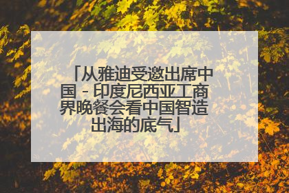 从雅迪受邀出席中国－印度尼西亚工商界晚餐会看中国智造出海的底气