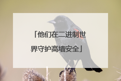 他们在二进制世界守护高墙安全