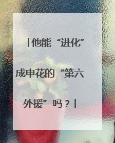他能“进化”成申花的“第六外援”吗？