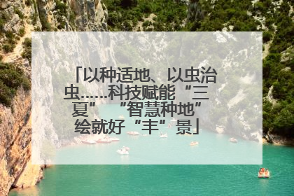 以种适地、以虫治虫……科技赋能“三夏” “智慧种地”绘就好“丰”景