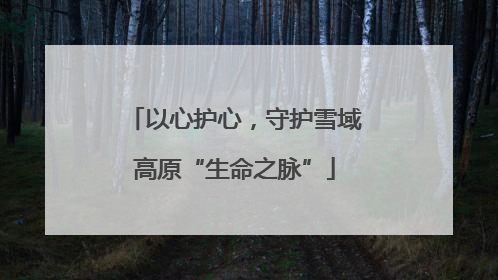 以心护心，守护雪域高原“生命之脉”