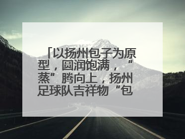 以扬州包子为原型，圆润饱满，“蒸”腾向上，扬州足球队吉祥物“包赢”亮相即售罄
