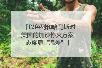 以色列和哈马斯对美国的加沙停火方案态度显“温差”