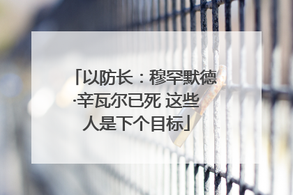 以防长：穆罕默德·辛瓦尔已死 这些人是下个目标