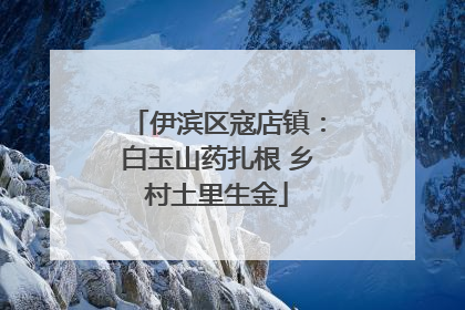 伊滨区寇店镇：白玉山药扎根 乡村土里生金