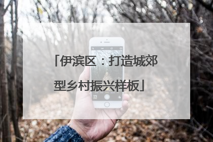 伊滨区：打造城郊型乡村振兴样板