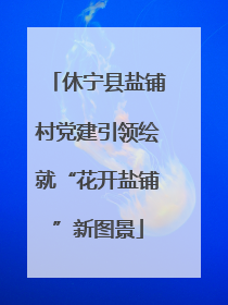 休宁县盐铺村党建引领绘就“花开盐铺”新图景