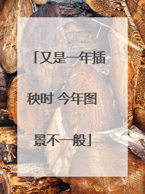 又是一年插秧时 今年图景不一般