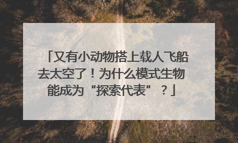 又有小动物搭上载人飞船去太空了！为什么模式生物能成为“探索代表”？