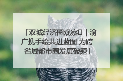 双城经济圈观察㊺｜渝广携手绘共进蓝图 为跨省域都市圈发展破题