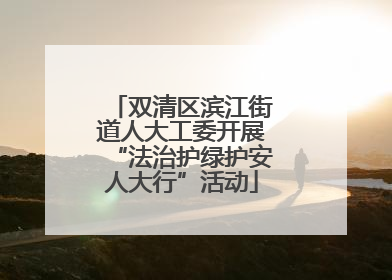 双清区滨江街道人大工委开展“法治护绿护安人大行”活动
