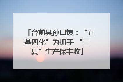 台前县孙口镇：“五基四化”为抓手 “三夏”生产保丰收