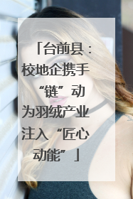 台前县：校地企携手“链”动 为羽绒产业注入“匠心动能”