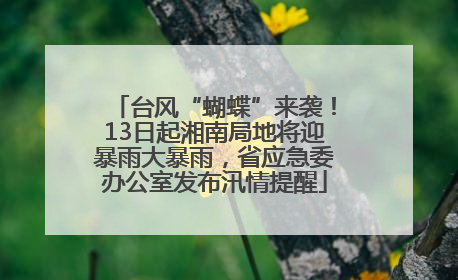 台风“蝴蝶”来袭！13日起湘南局地将迎暴雨大暴雨，省应急委办公室发布汛情提醒