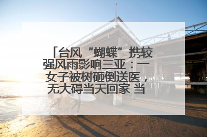 台风“蝴蝶”携较强风雨影响三亚：一女子被树砸倒送医，无大碍当天回家 当地已紧急清障