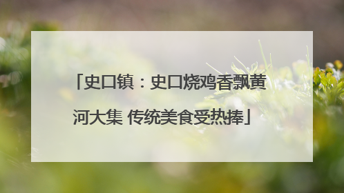 史口镇：史口烧鸡香飘黄河大集 传统美食受热捧