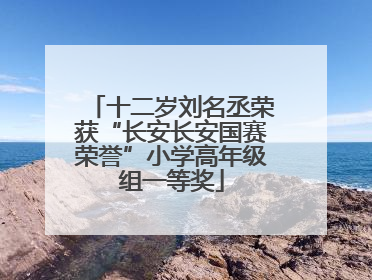 十二岁刘名丞荣获“长安长安国赛荣誉”小学高年级组一等奖