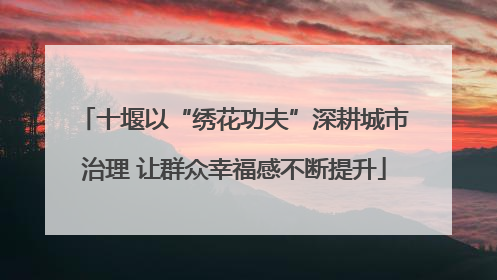 十堰以“绣花功夫”深耕城市治理 让群众幸福感不断提升