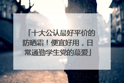 十大公认最好平价的防晒霜！便宜好用，日常通勤学生党的蕞爱