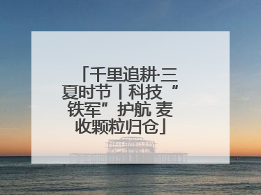 千里追耕·三夏时节丨科技“铁军”护航 麦收颗粒归仓