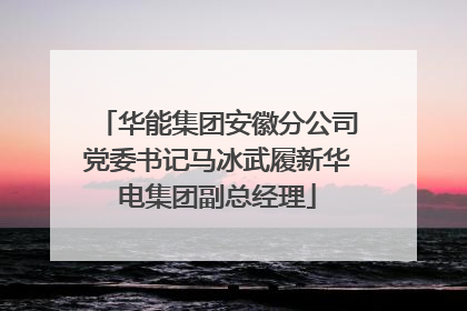 华能集团安徽分公司党委书记马冰武履新华电集团副总经理