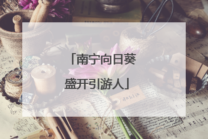 南宁向日葵盛开引游人