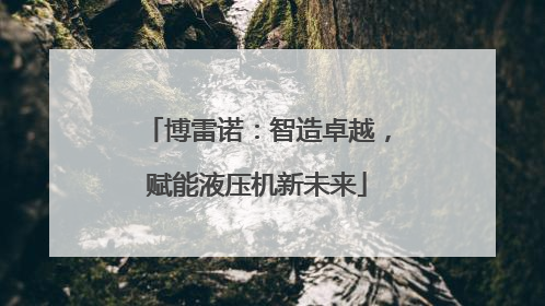 博雷诺：智造卓越，赋能液压机新未来