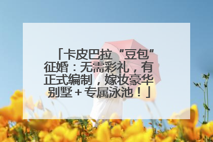 卡皮巴拉“豆包”征婚：无需彩礼，有正式编制，嫁妆豪华别墅＋专属泳池！