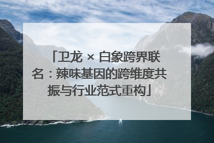 卫龙 × 白象跨界联名：辣味基因的跨维度共振与行业范式重构