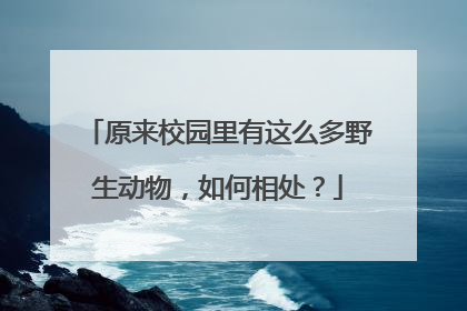 原来校园里有这么多野生动物，如何相处？