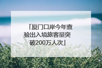 厦门口岸今年查验出入境旅客量突破200万人次