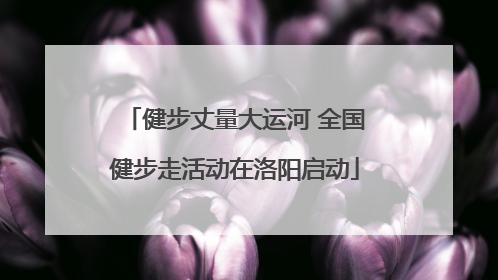 健步丈量大运河 全国健步走活动在洛阳启动