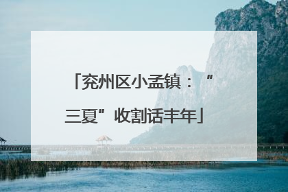 兖州区小孟镇：“三夏”收割话丰年