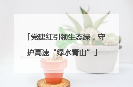 党建红引领生态绿，守护高速“绿水青山”