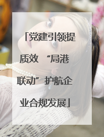 党建引领提质效 “局港联动”护航企业合规发展