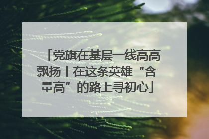党旗在基层一线高高飘扬丨在这条英雄“含量高”的路上寻初心
