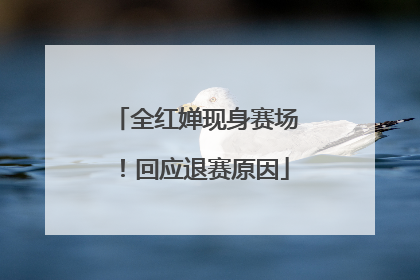 全红婵现身赛场！回应退赛原因