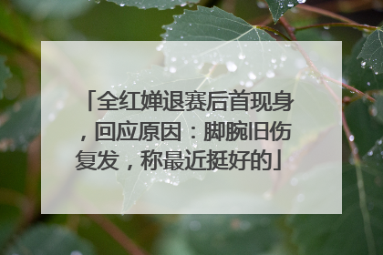 全红婵退赛后首现身，回应原因：脚腕旧伤复发，称最近挺好的