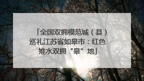 全国双拥模范城（县）巡礼江苏省如皋市：红色雉水双拥“皋”地