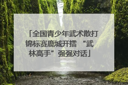 全国青少年武术散打锦标赛鹿城开擂 “武林高手”强强对话