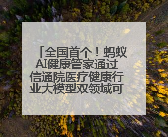 全国首个！蚂蚁AI健康管家通过信通院医疗健康行业大模型双领域可信评估