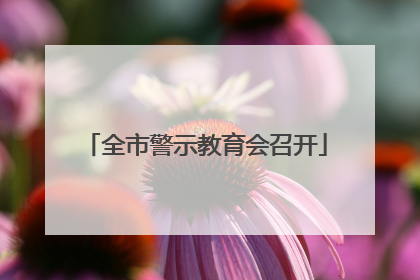 全市警示教育会召开