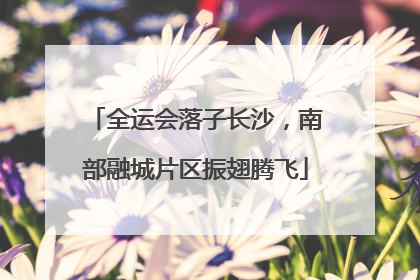 全运会落子长沙，南部融城片区振翅腾飞