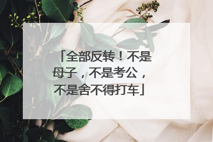全部反转！不是母子，不是考公，不是舍不得打车
