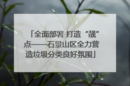 全面部署 打造“靓” 点——石景山区全力营造垃圾分类良好氛围