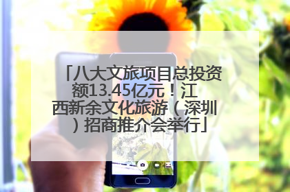 八大文旅项目总投资额13.45亿元！江西新余文化旅游（深圳）招商推介会举行