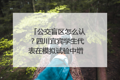 公交盲区怎么认？四川宜宾学生代表在模拟试验中增强乘车安全意识