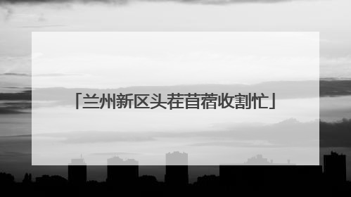 兰州新区头茬苜蓿收割忙