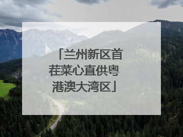 兰州新区首茬菜心直供粤港澳大湾区