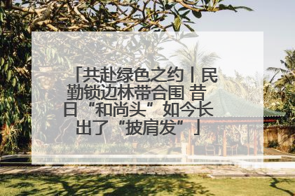 共赴绿色之约丨民勤锁边林带合围 昔日“和尚头”如今长出了“披肩发”